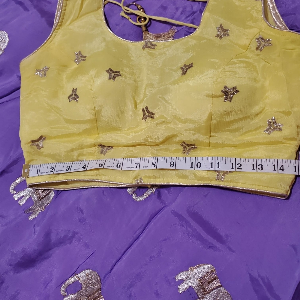 Chaniya choli - Picture 5 of 11